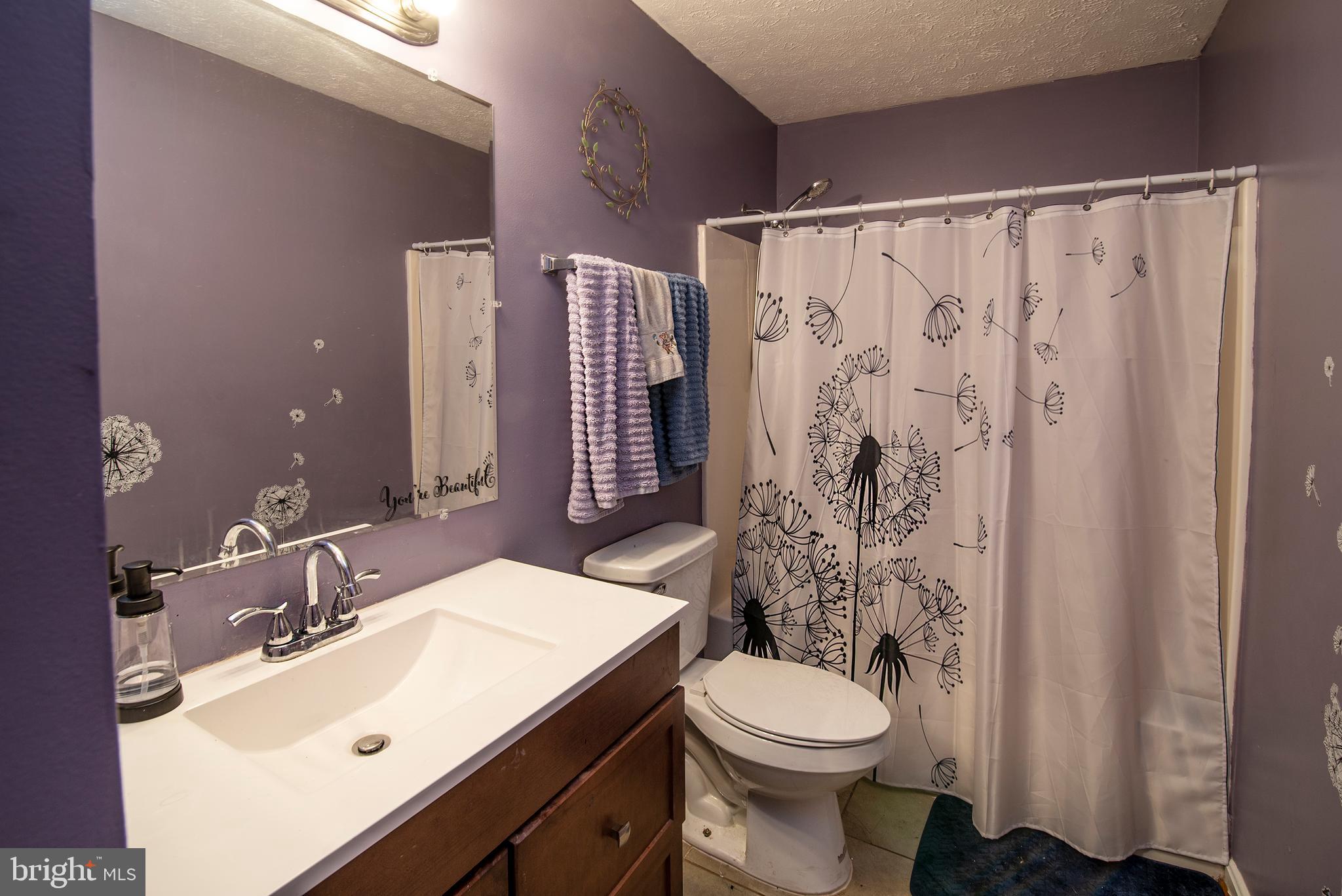 704 Gold Valley Road Locust Grove, VA 22508 - Photo 23 of 39 Main level full bathroom