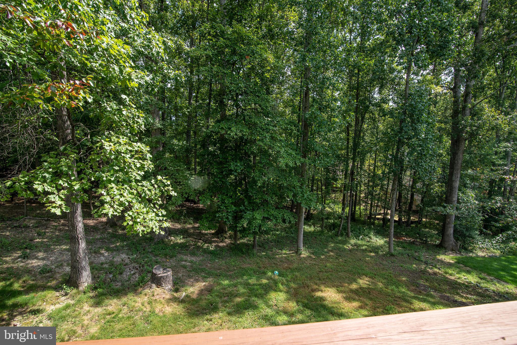 704 Gold Valley Road Locust Grove, VA 22508 - Photo 37 of 39 Gallery Image 37