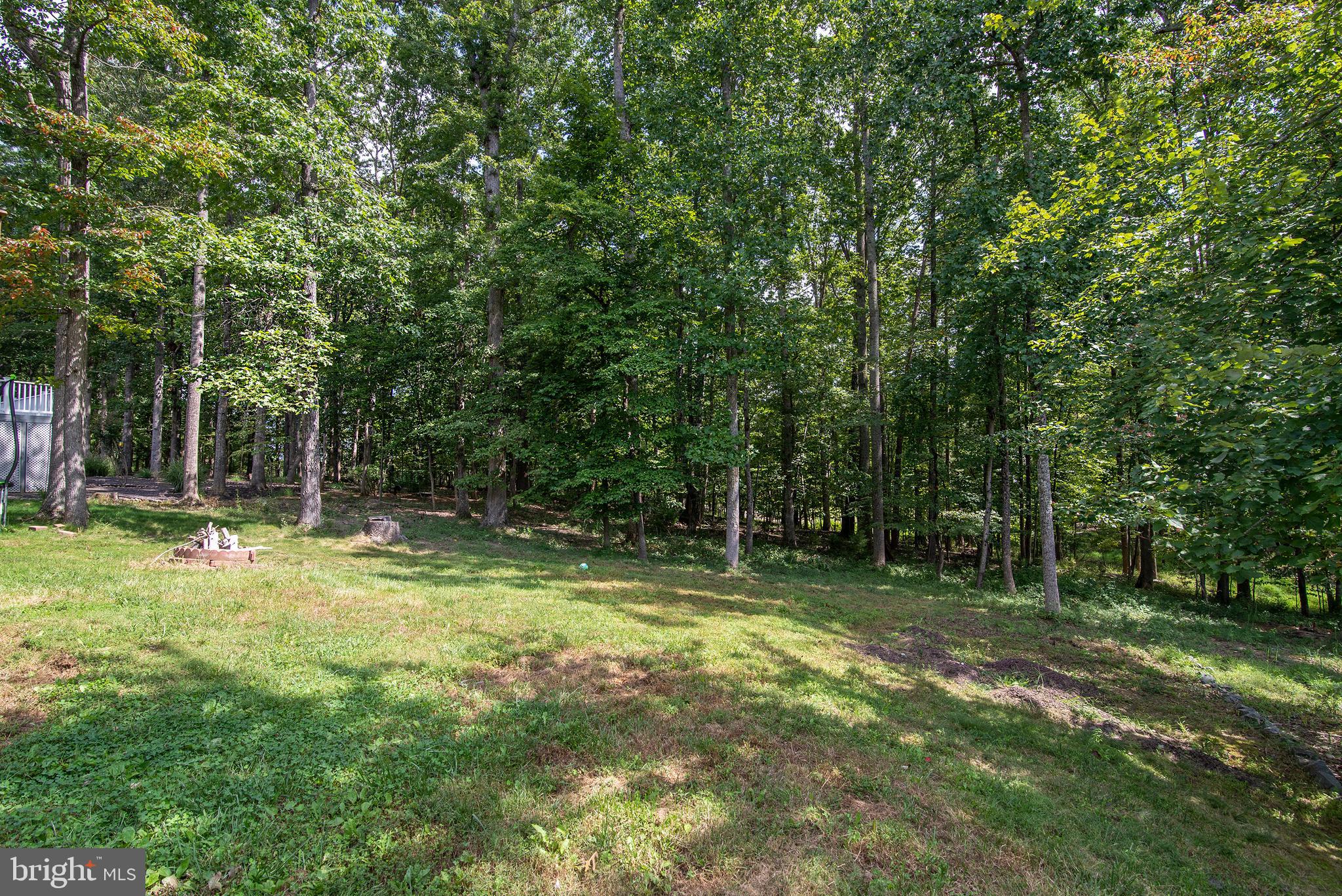 704 Gold Valley Road Locust Grove, VA 22508 - Photo 38 of 39 Gallery Image 38