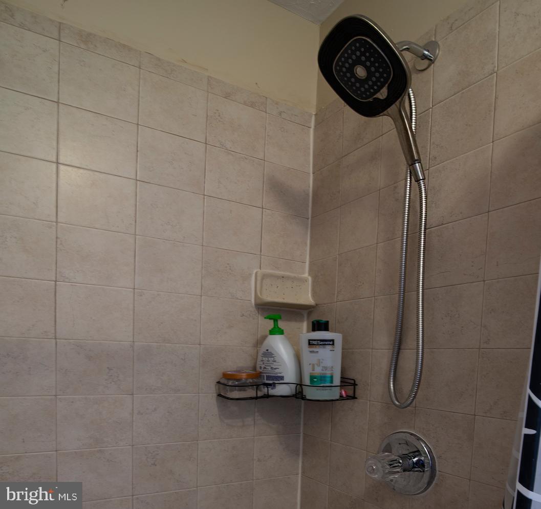 704 Gold Valley Road Locust Grove, VA 22508 - Photo 8 of 39 Oversized shower head