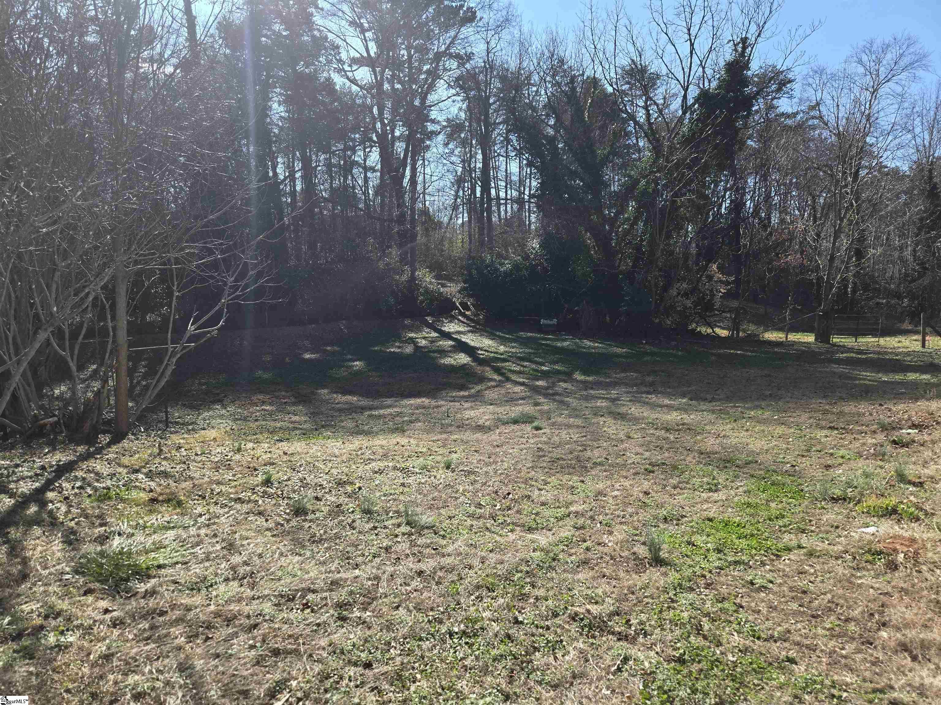 306 South Randolph Avenue Landrum, SC 29356 - Photo 5 of 5