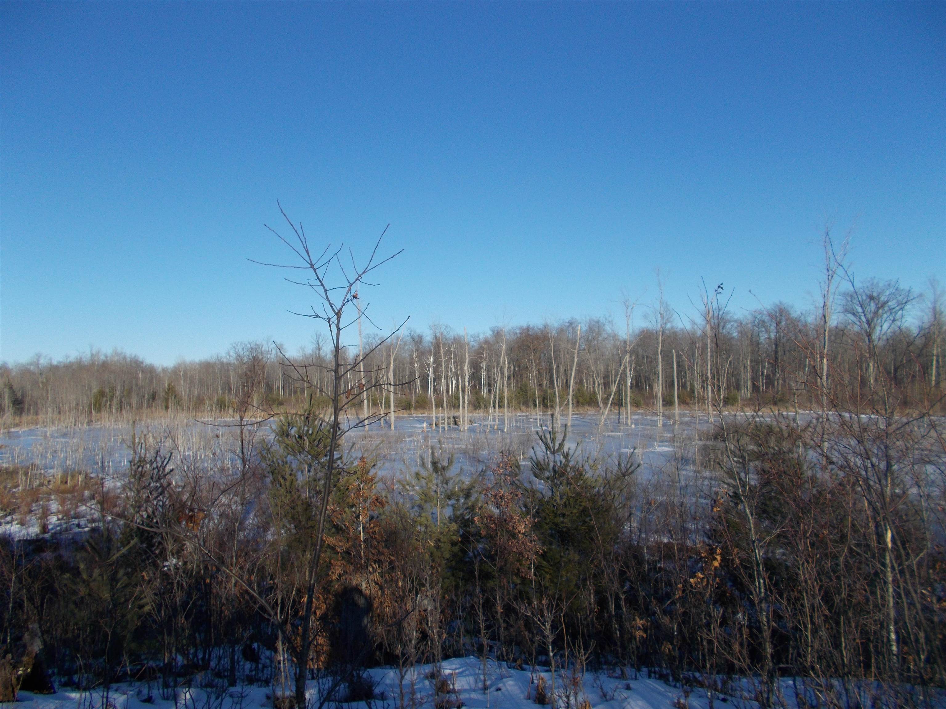 0 East County Line Road Whittemore, MI 48770 - Photo 7 of 22