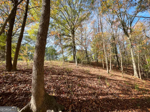 $120,000 | 0 Smith Circle, Adairsville, GA 30103