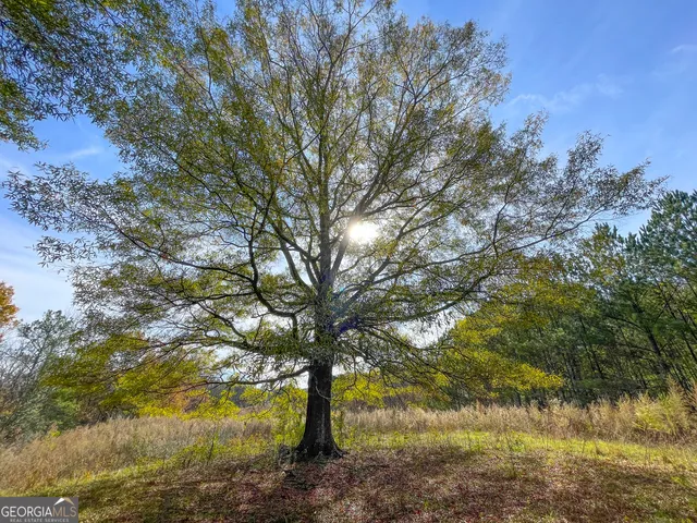 $120,000 | 0 Smith Circle, Adairsville, GA 30103