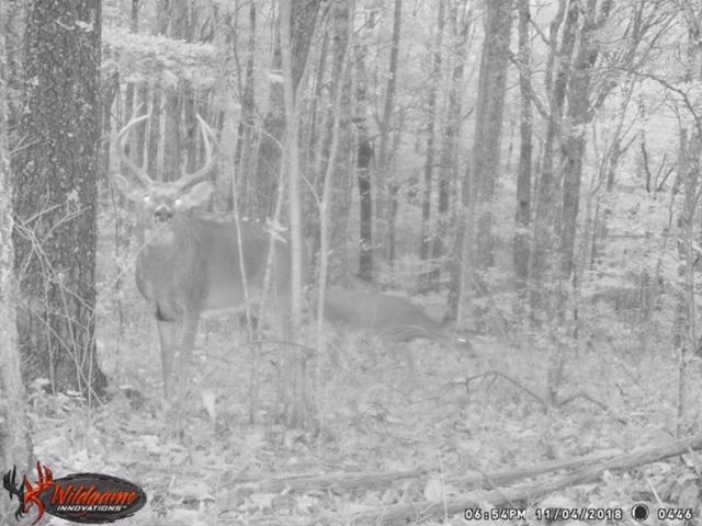 3006 Piney Grove Road Somerset, KY 42501 - Photo 14 of 52 IMG_4893