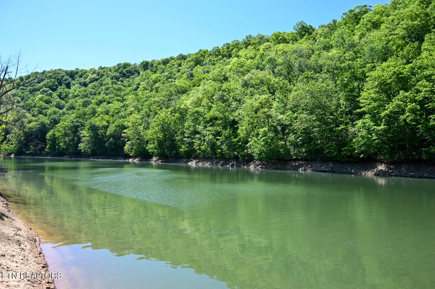 Lot 121 Towncreek Road Speedwell, TN 37870 - Photo 3 of 32 6a2dd1c4689f9