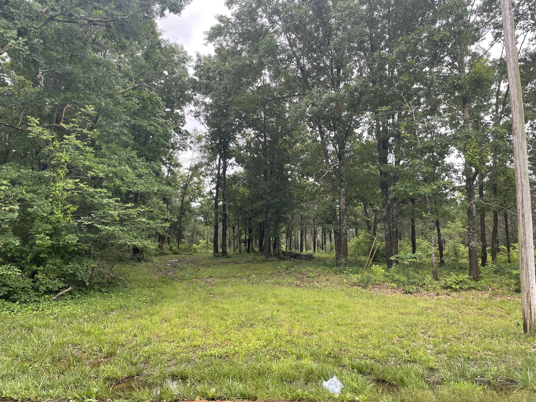 1 Hopkins Bridge Road Unionville, TN 37180 - Photo 1 of 12 Gallery Image 1