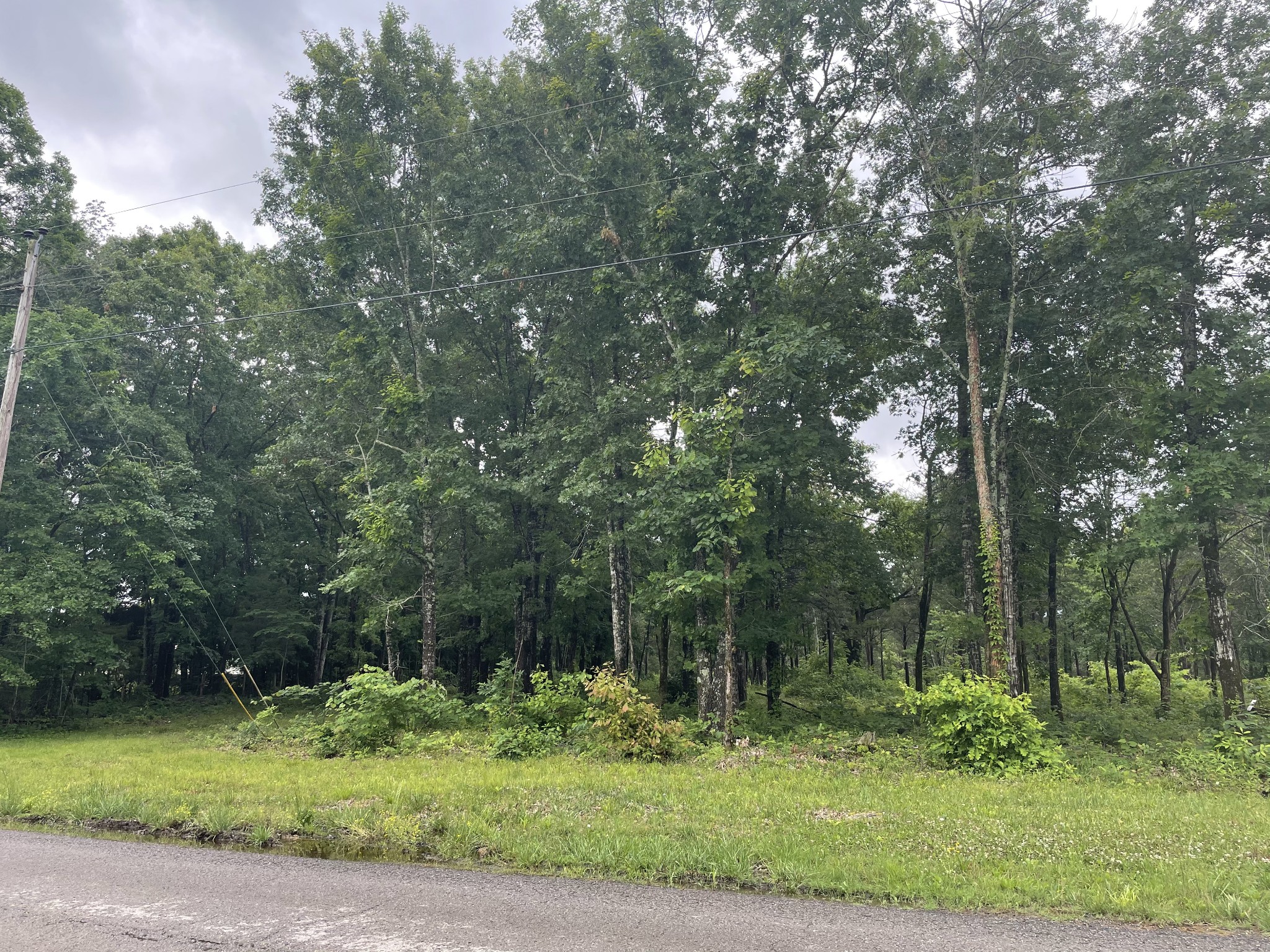 1 Hopkins Bridge Road Unionville, TN 37180 - Photo 2 of 12 Gallery Image 2