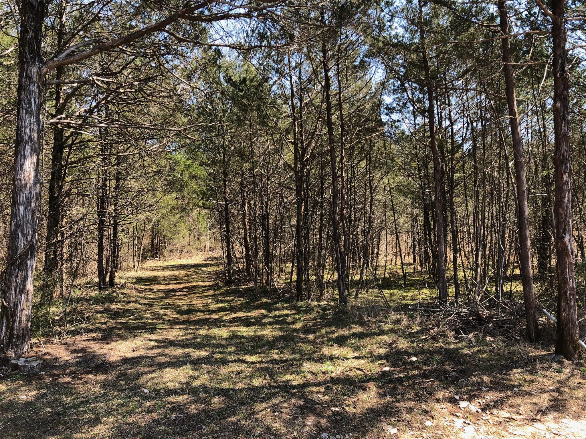 1 Hopkins Bridge Road Unionville, TN 37180 - Photo 11 of 12 Gallery Image 11