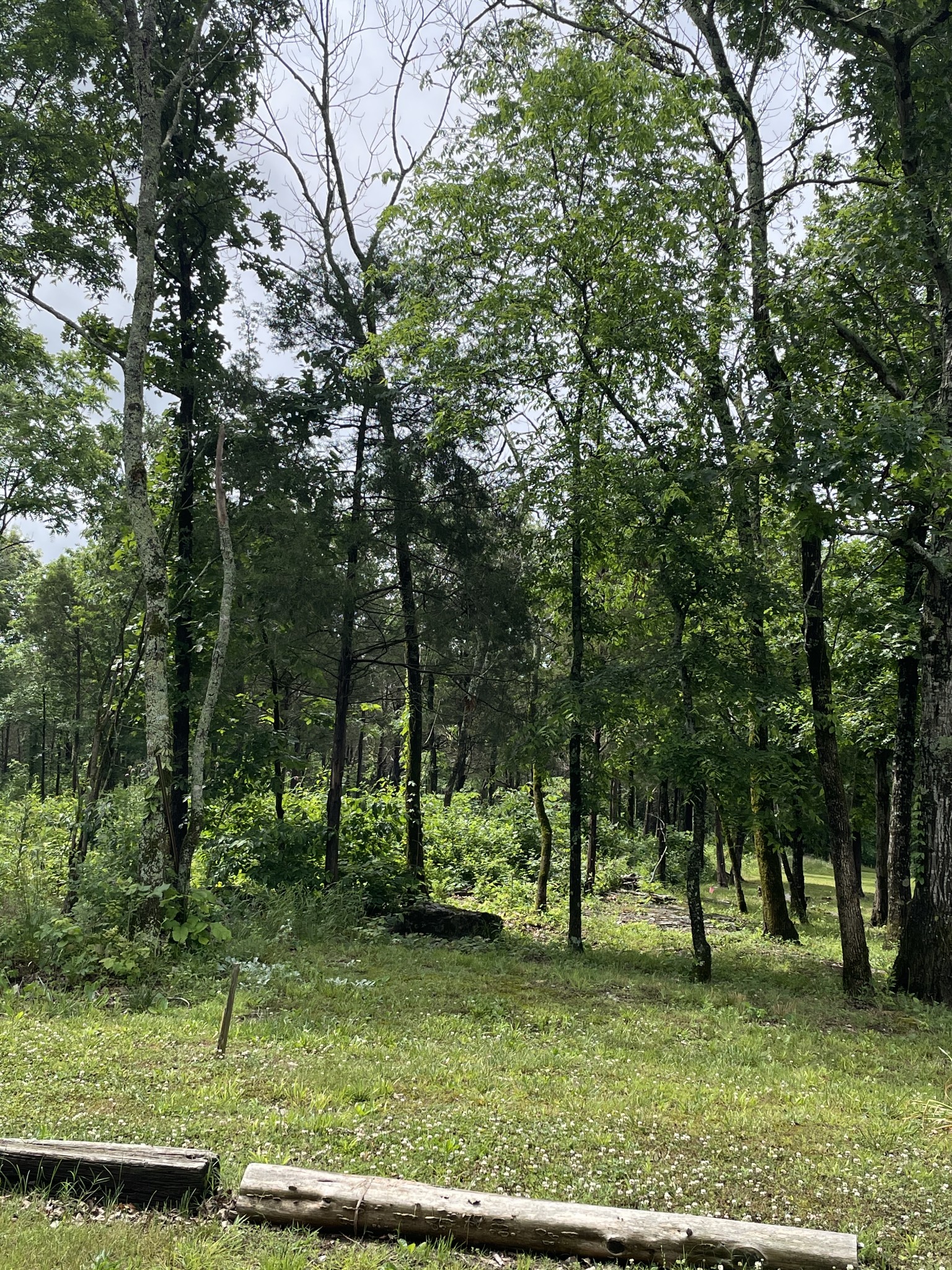 1 Hopkins Bridge Road Unionville, TN 37180 - Photo 5 of 12 Gallery Image 5