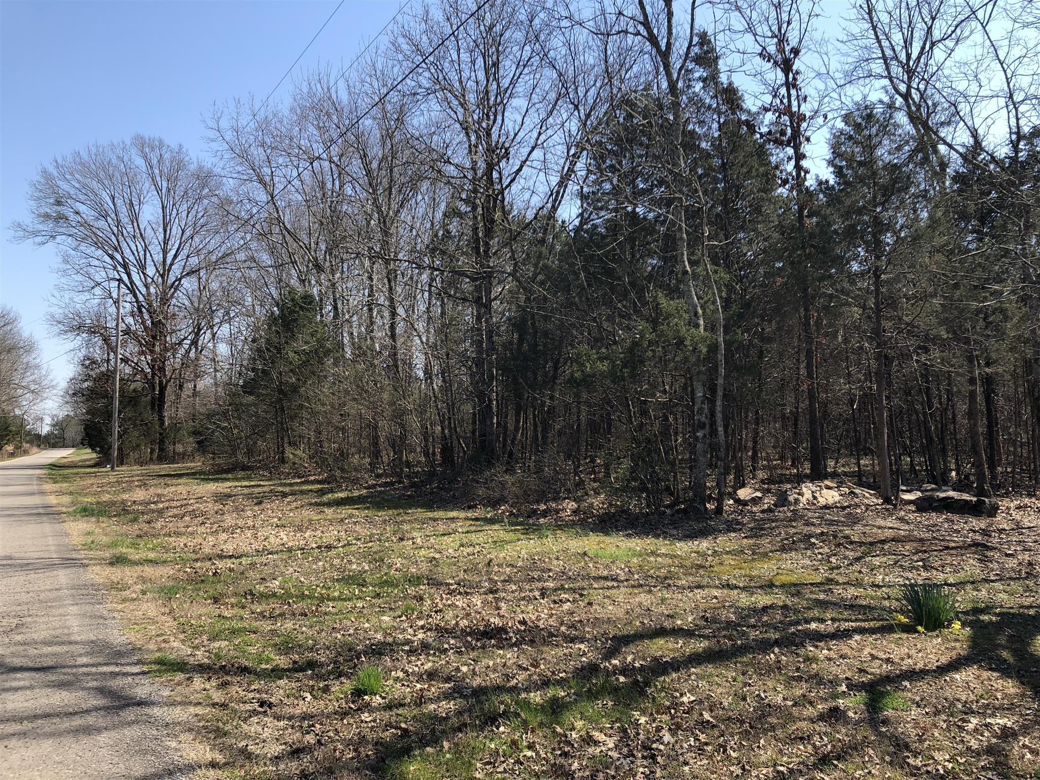 1 Hopkins Bridge Road Unionville, TN 37180 - Photo 8 of 12 Gallery Image 8