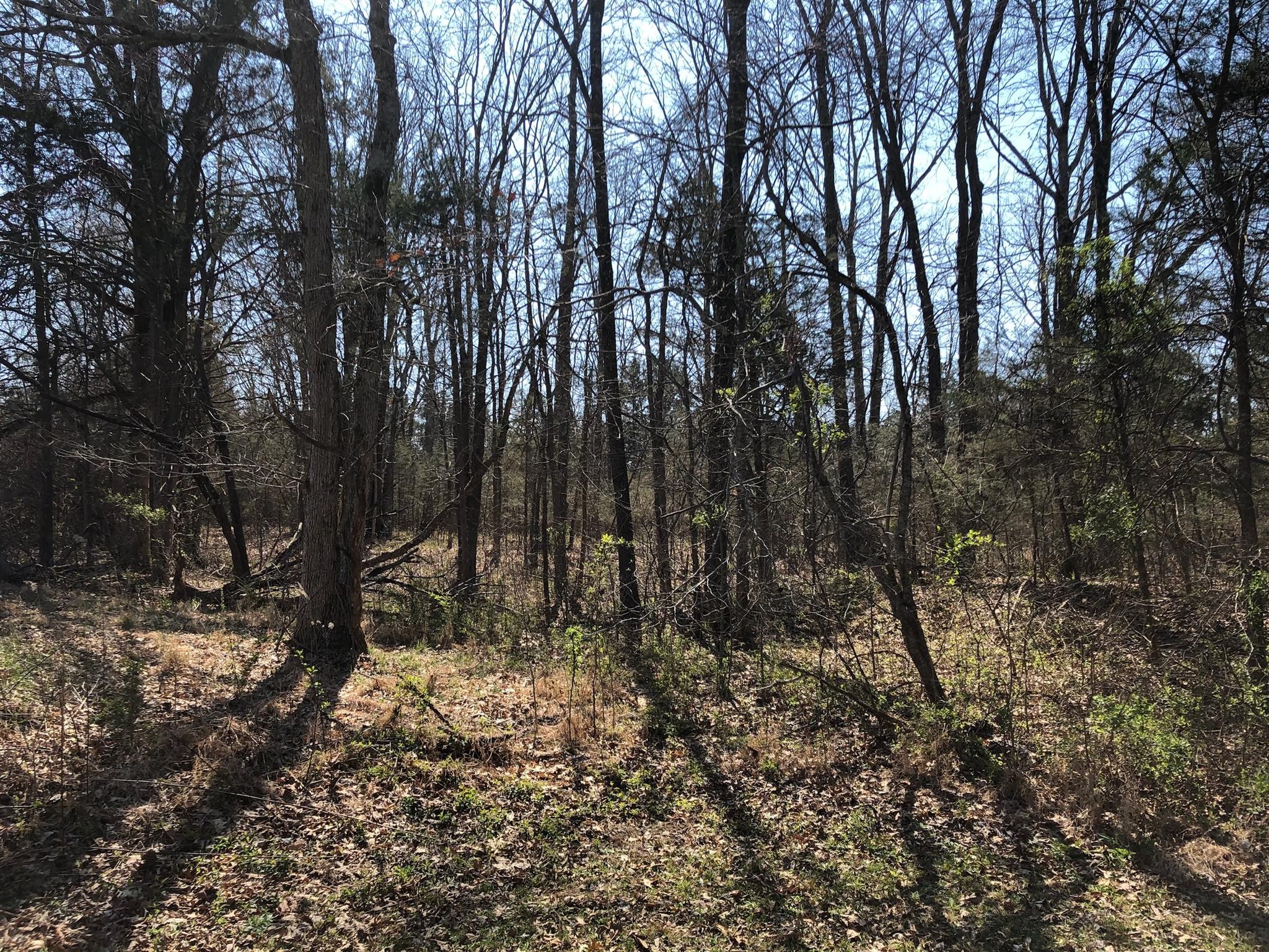 1 Hopkins Bridge Road Unionville, TN 37180 - Photo 9 of 12 Gallery Image 9