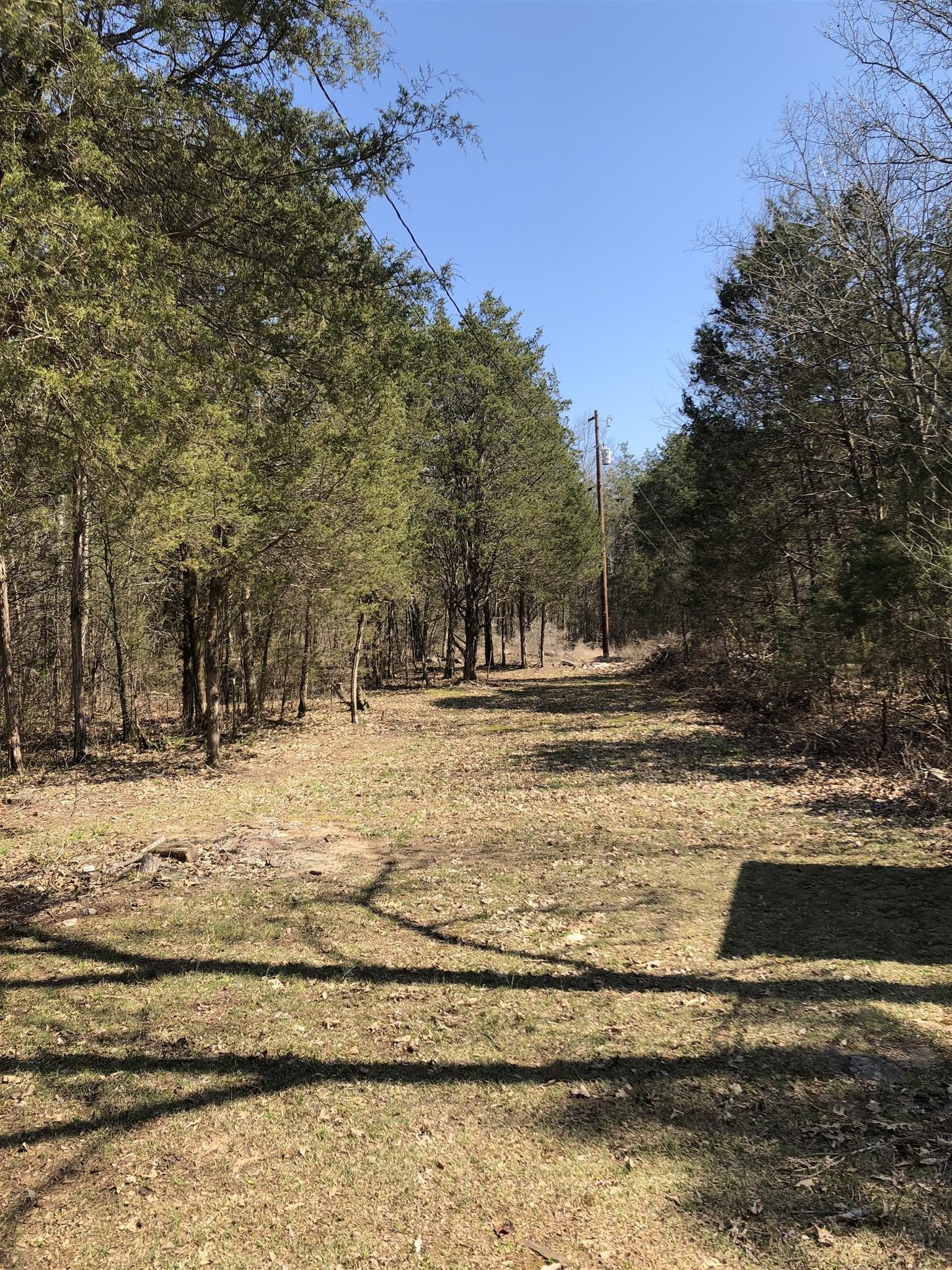 1 Hopkins Bridge Road Unionville, TN 37180 - Photo 10 of 12 Gallery Image 10