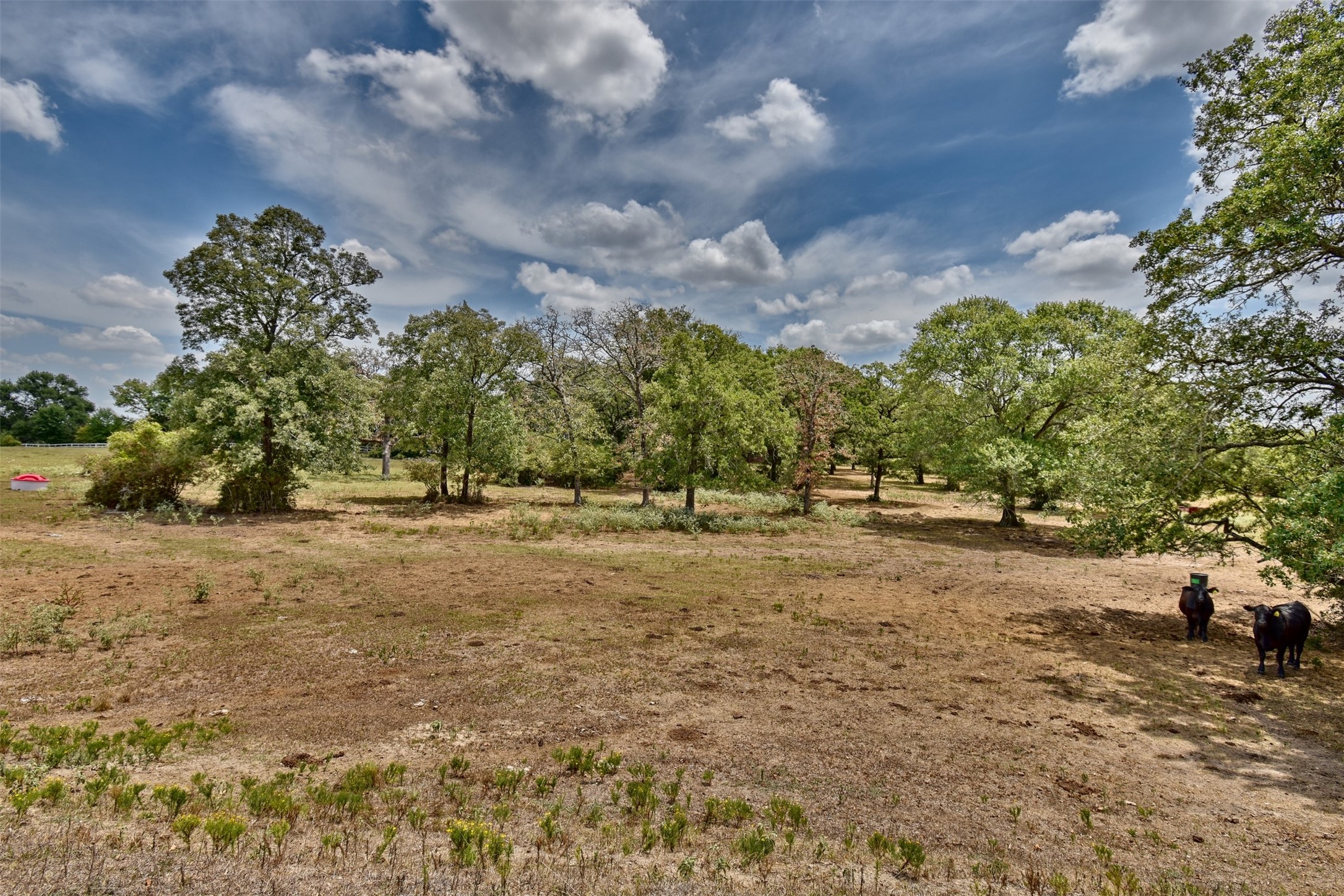 0 Mt Vernon Road Brenham, TX 77833 - Photo 2 of 12