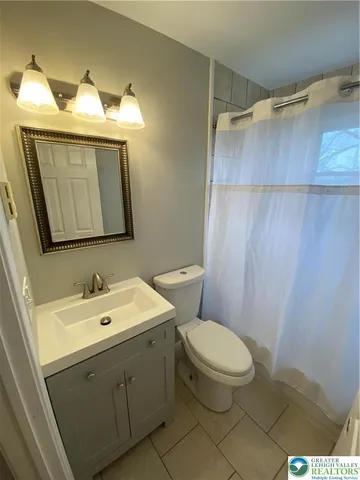 a bathroom with a sink a toilet and mirror