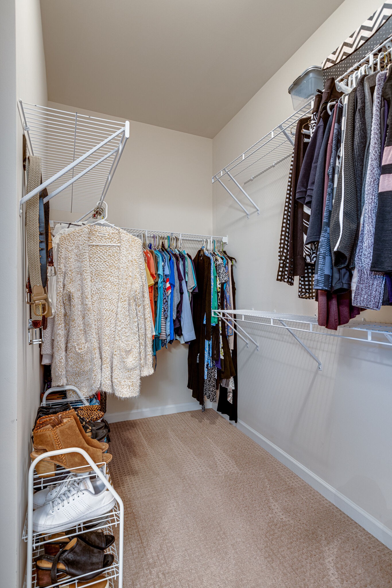 120 Tipton Pass Spring Hill, TN 37174 - Photo 23 of 44 Gallery Image 23
