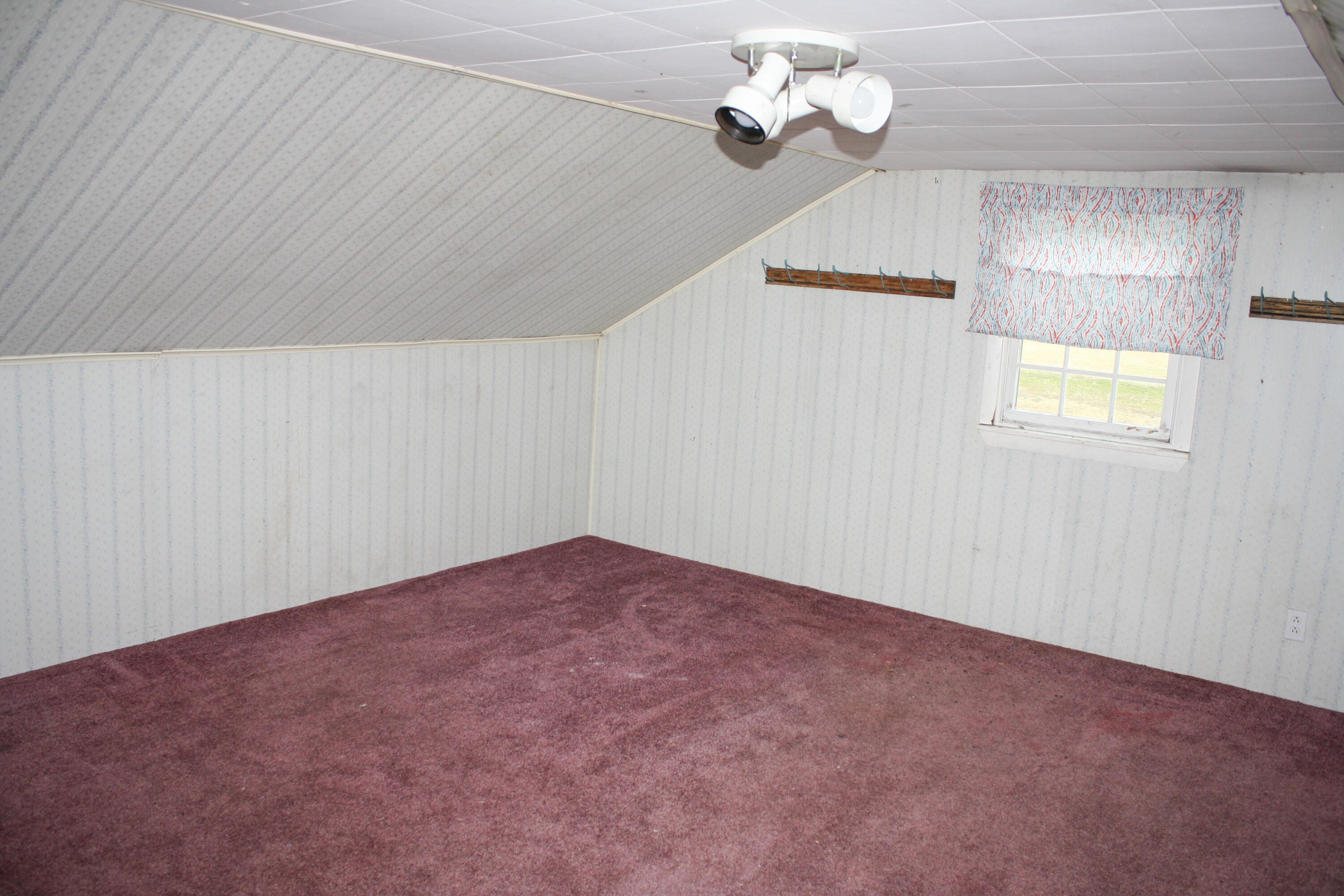 1057 Van Buren Road Caswell, ME 04750 - Photo 25 of 56 IMG_9022