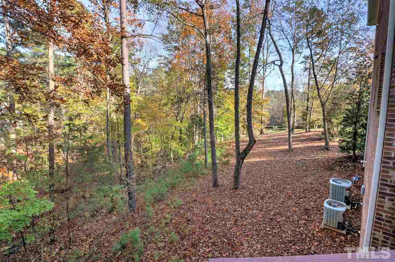 2408 Loring Court Raleigh, NC 27613 - Photo 24 of 25 a view of a forest with trees