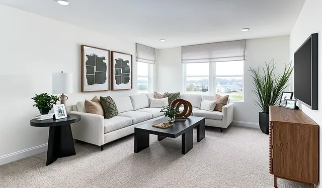 a living room with furniture potted plant and a window