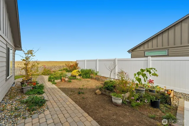 a view of a garden with plants