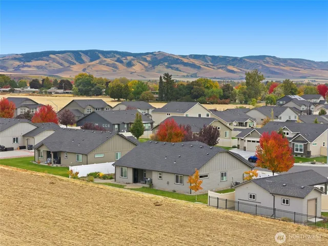 a view of a town with mountains in the background