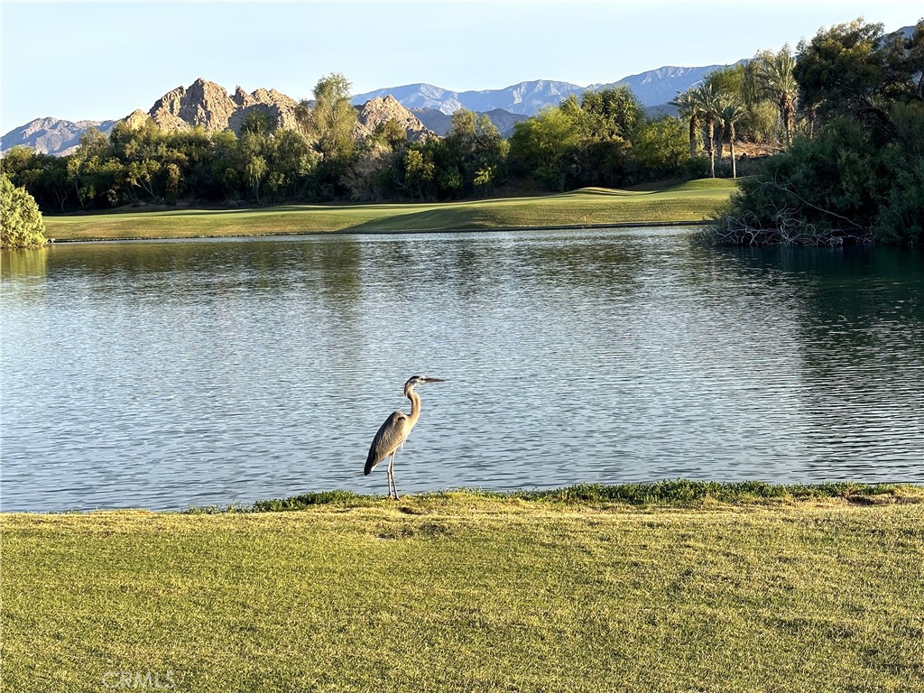 57205 Merion La Quinta, CA 92253 - Photo 58 of 58 Watch for the Heron rookery in the tree across the water each spring!