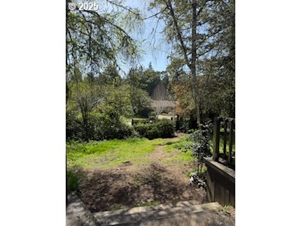 5590 South Shore Drive Florence, OR 97439 - Photo 5 of 11 a view of a yard with plants and large trees