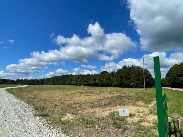 1 Austin Swamp Lane Ridgeville, SC 29472 - Photo 2 of 5 IMG_5540