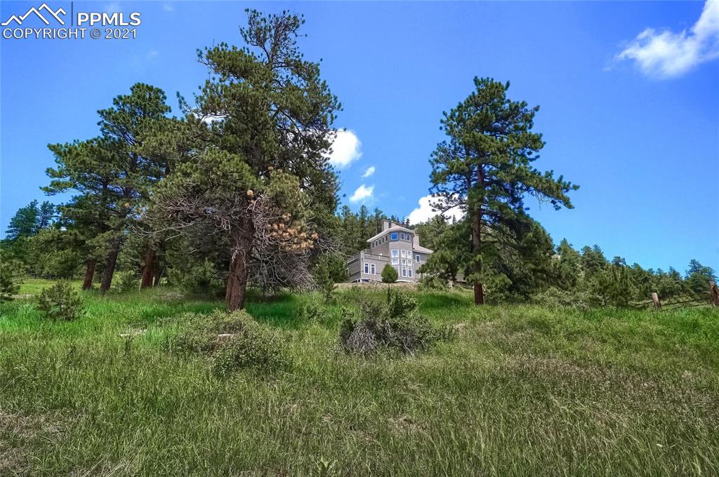 623 West Meadow Road Evergreen, CO 80439 - Photo 2 of 49 a view of a big yard with plants and large trees