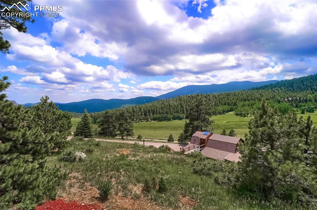 623 West Meadow Road Evergreen, CO 80439 - Photo 4 of 49 a view of a terrace with a yard