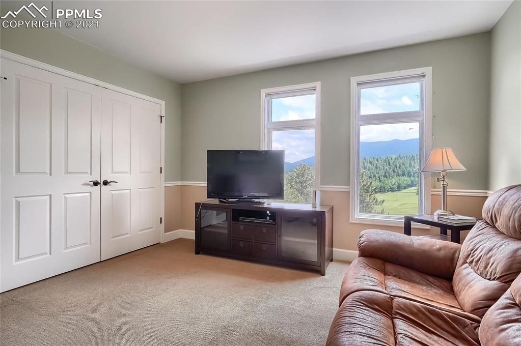 623 West Meadow Road Evergreen, CO 80439 - Photo 40 of 49 a living room with furniture and a flat screen tv