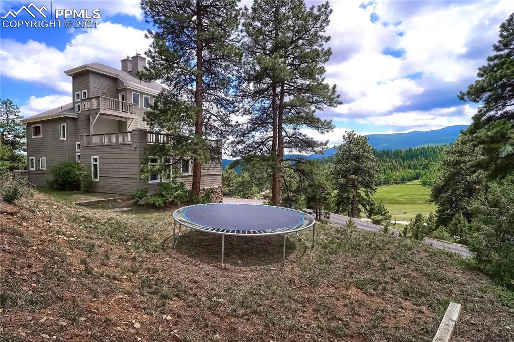 623 West Meadow Road Evergreen, CO 80439 - Photo 6 of 49 a view of a backyard with plants and a large tree