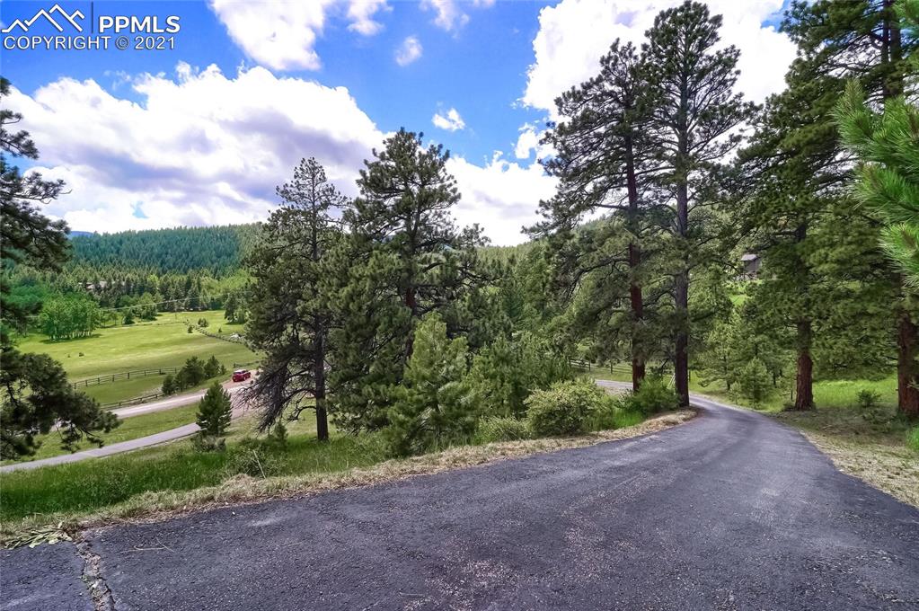 623 West Meadow Road Evergreen, CO 80439 - Photo 10 of 49 a view of a street with a yard and a tree