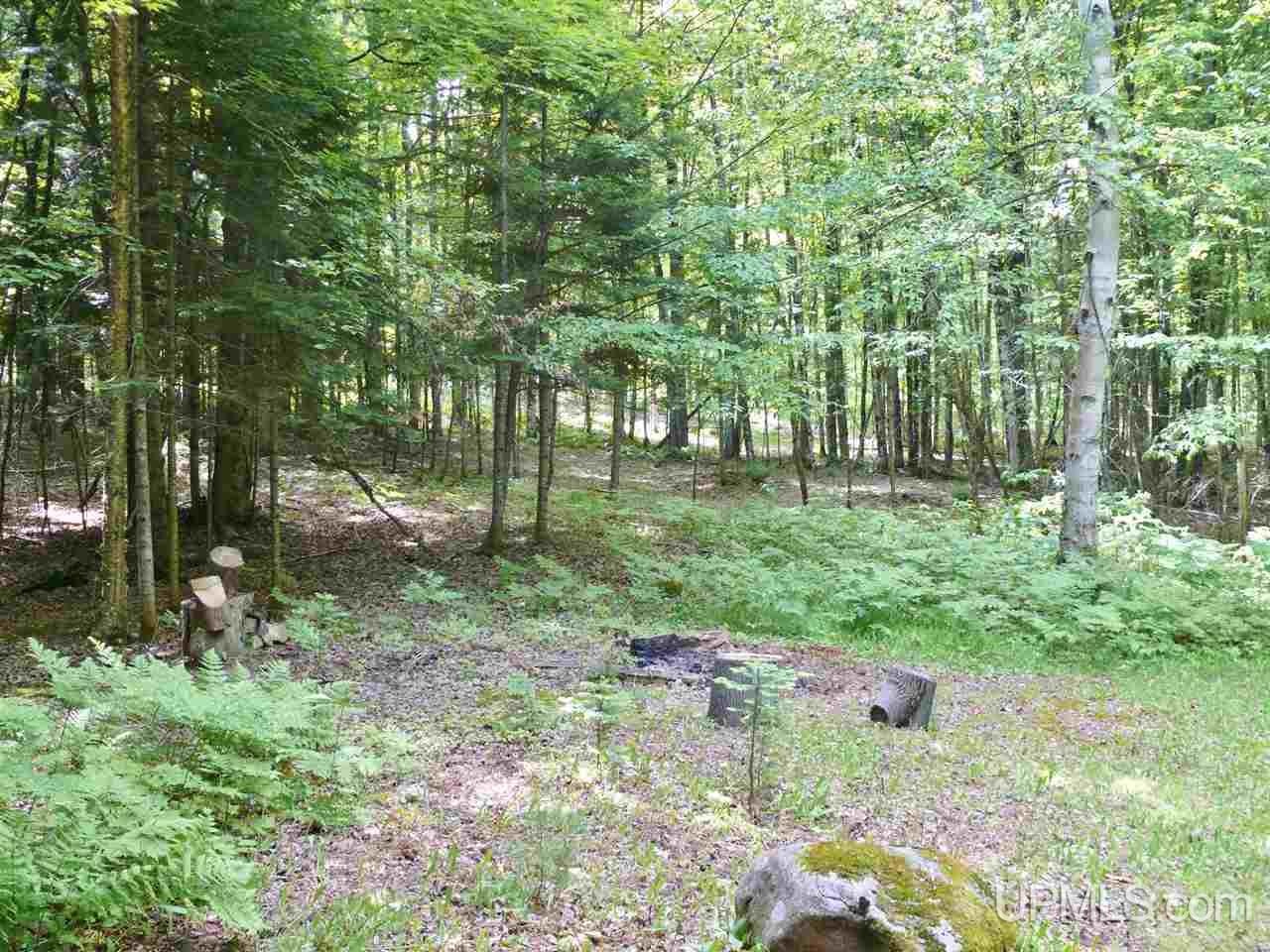 Tbd Tbd Co Road Big Bay, MI 49808 - Photo 16 of 17