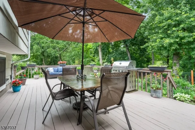 a view of a garden with plants and large trees