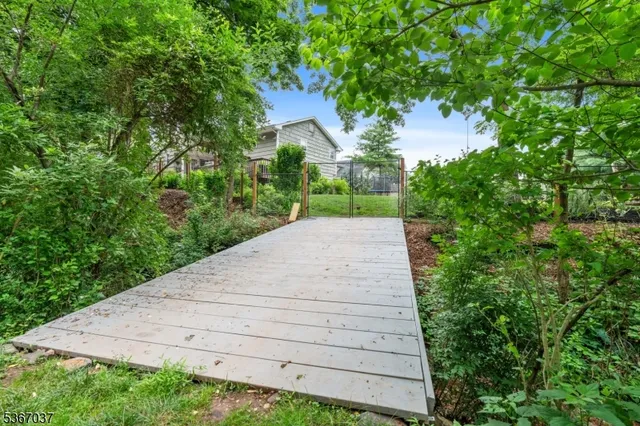 a view of a green field with lots of bushes