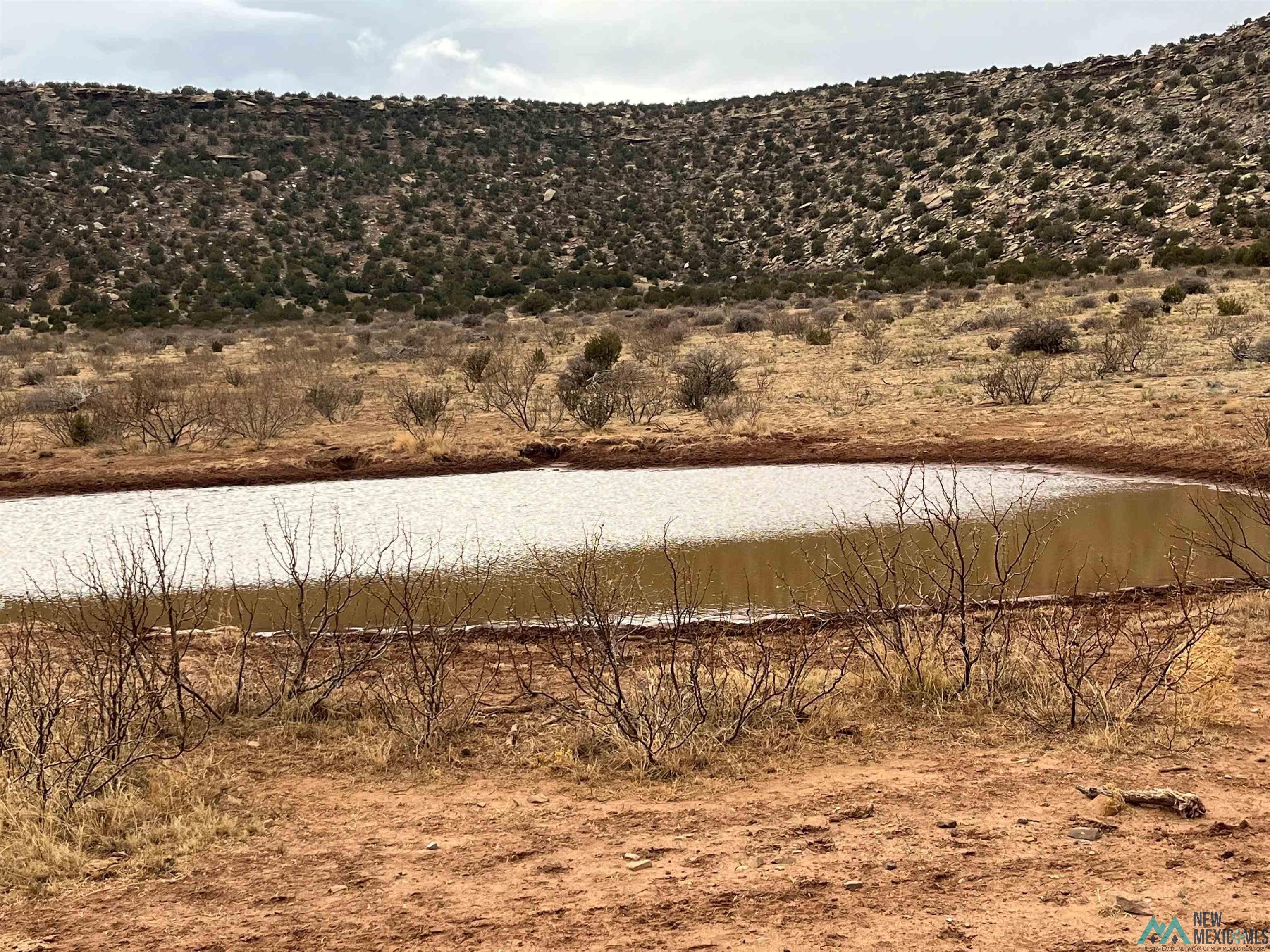 16 County Rd C56A Road Trementina, NM 88439 - Photo 1 of 1