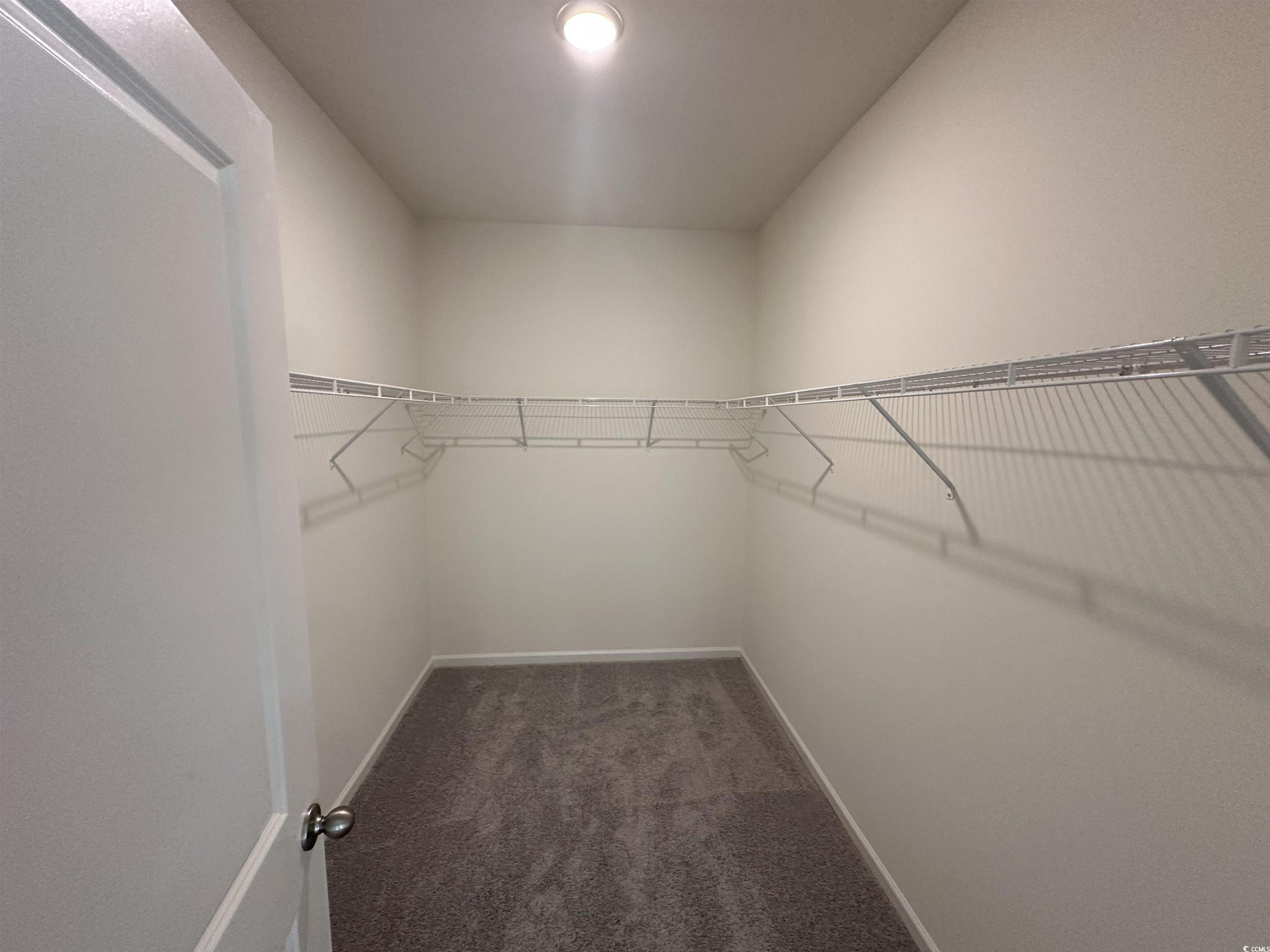 648 Castillo Drive Loris, SC 29569 - Photo 12 of 15 Walk in closet with carpet floors