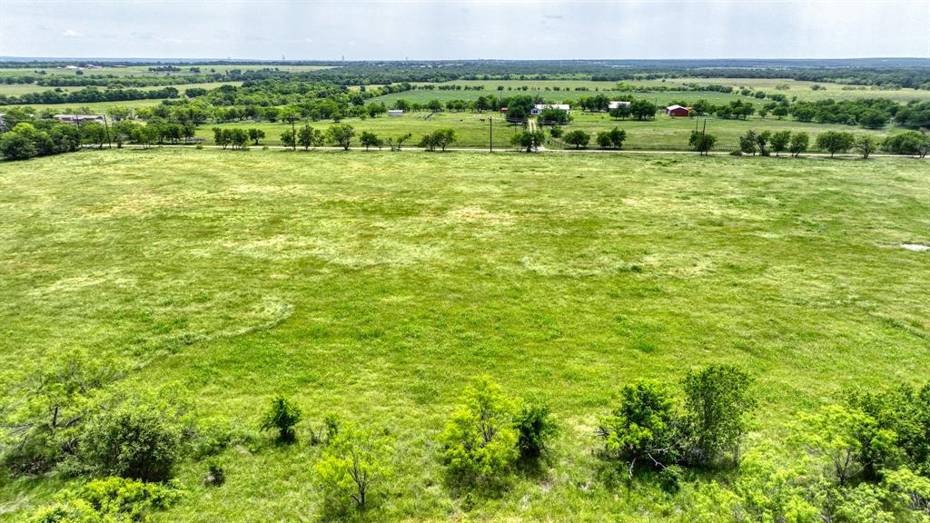 a view of a green field with lots of plants in the background