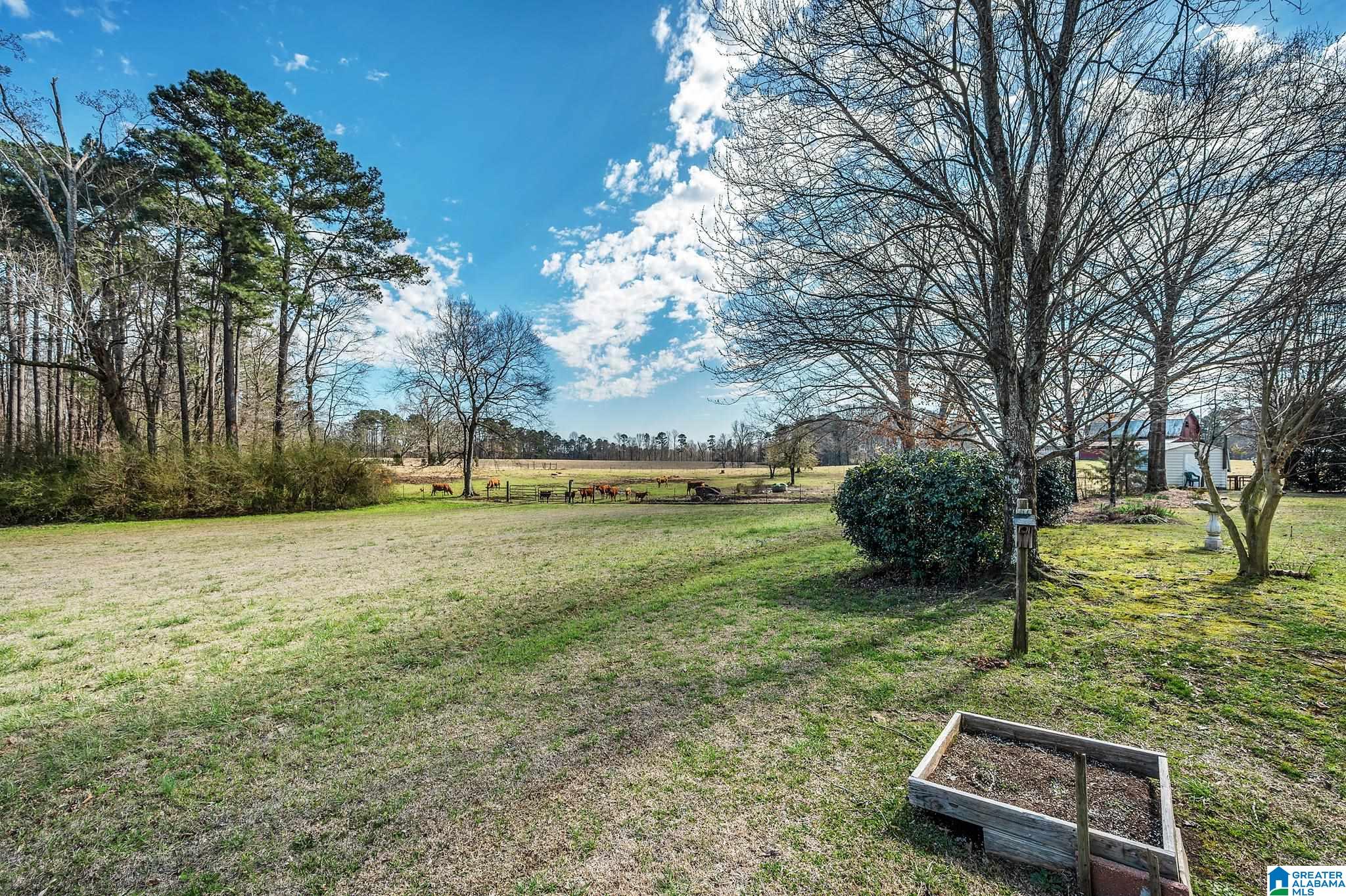 3821 Mt Olive Road Mount Olive, AL 35117 - Photo 10 of 40
