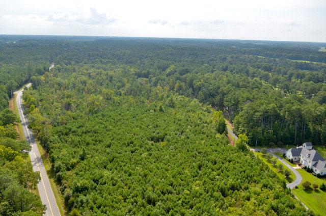A Country Club Road, Unit A Melfa, VA 23410 - Photo 12 of 13
