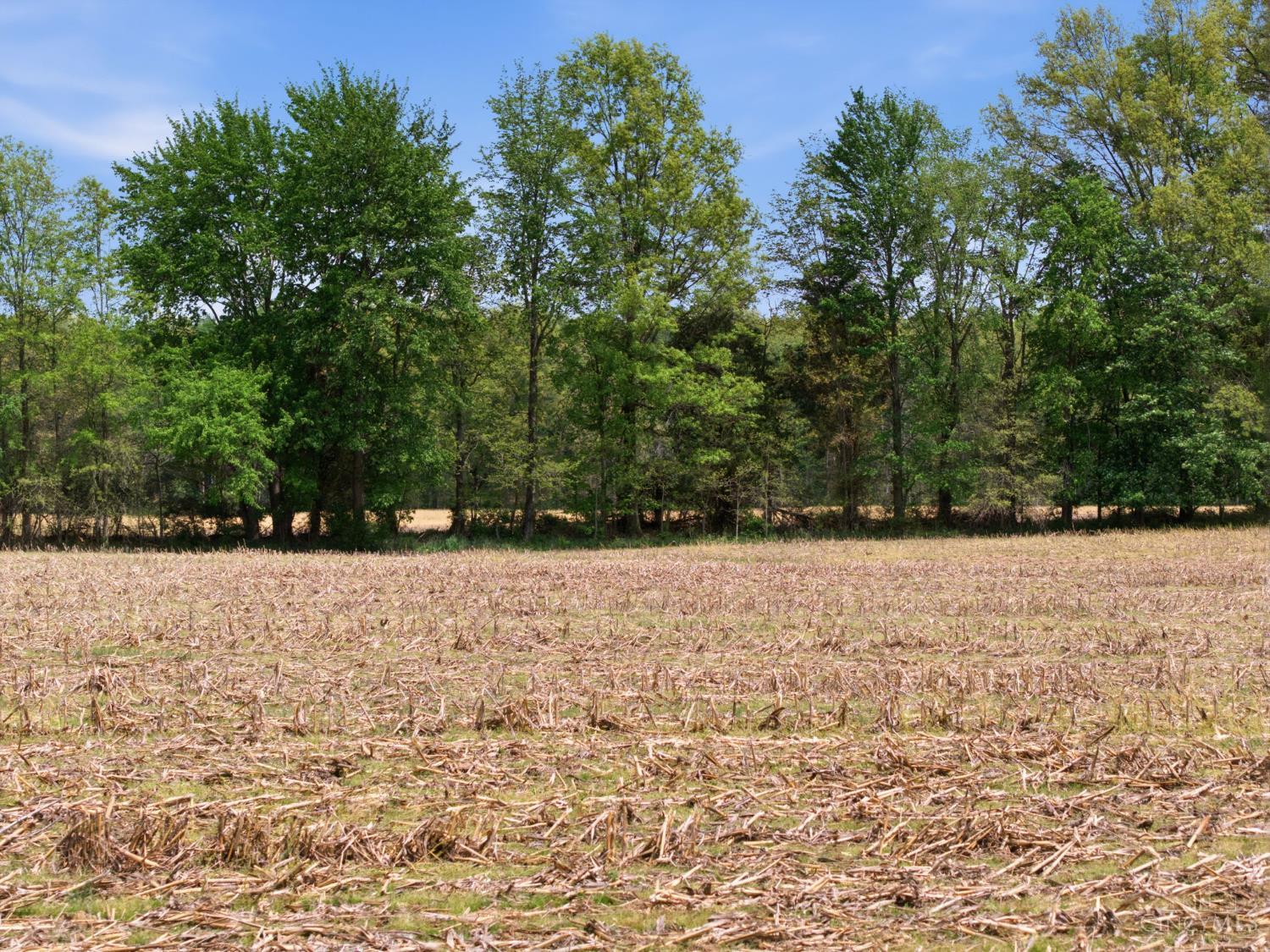 10559 Dixon Road Winchester, OH 45697 - Photo 28 of 79