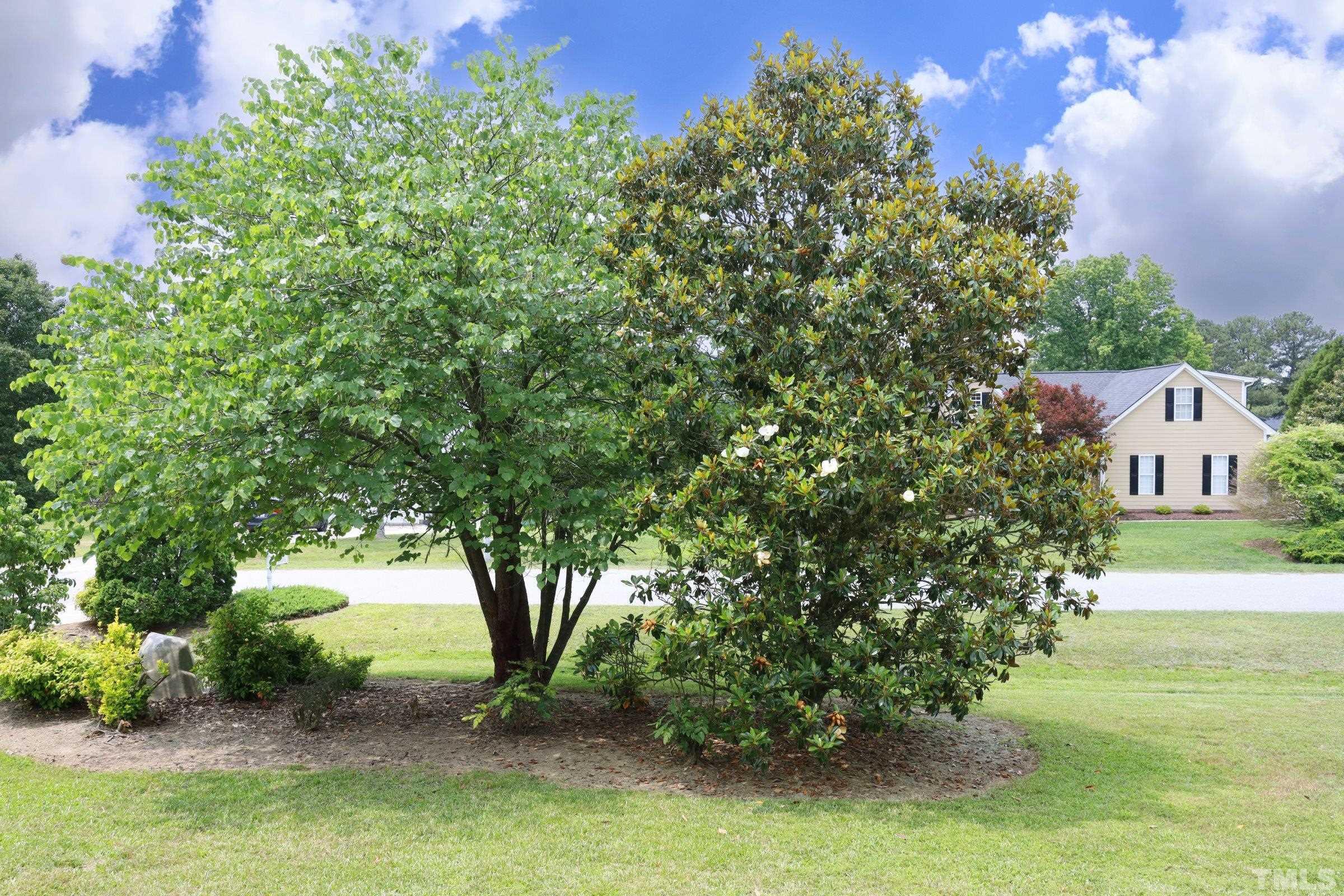 1012 Transom Court Raleigh, NC 27603 - Photo 6 of 45 Gallery Image 6