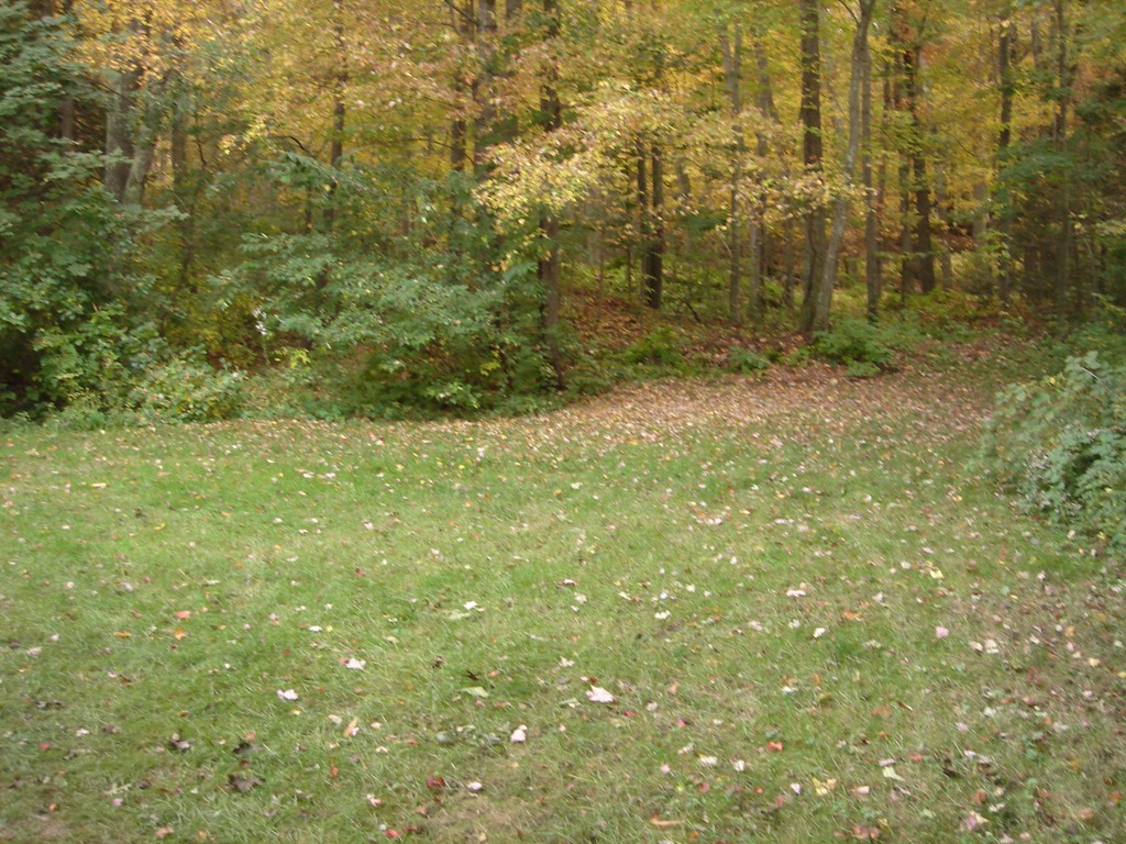 23 Lyndon Road Sharon, MA 02067 - Photo 4 of 17