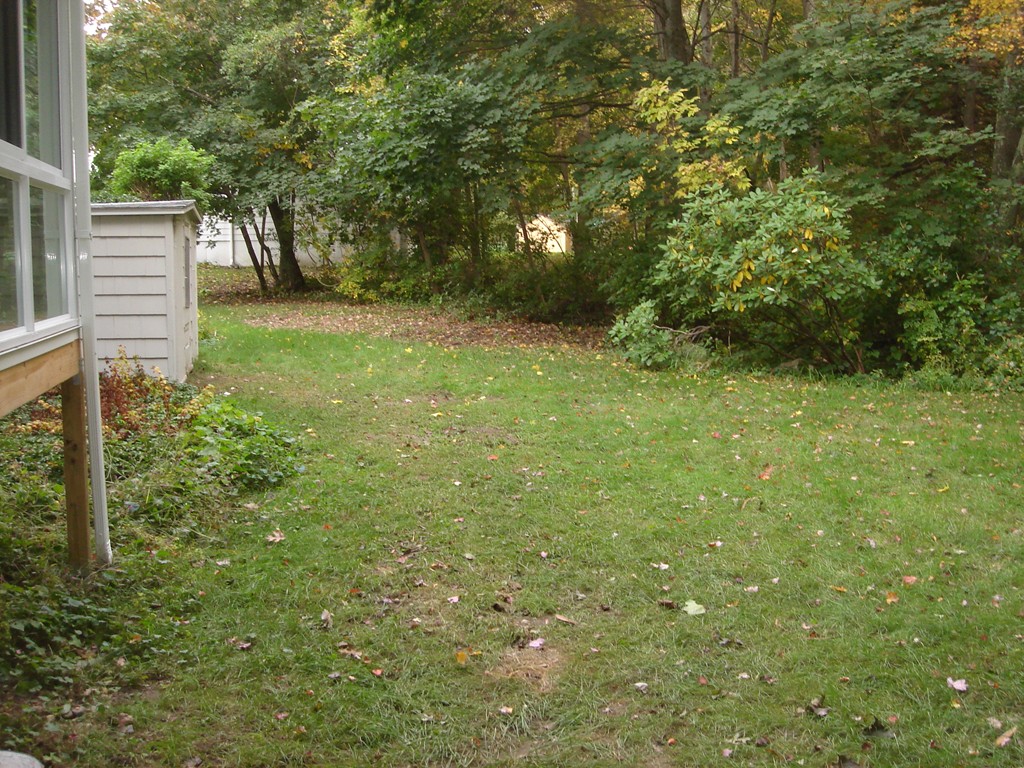 23 Lyndon Road Sharon, MA 02067 - Photo 5 of 17 a view of yard from a window