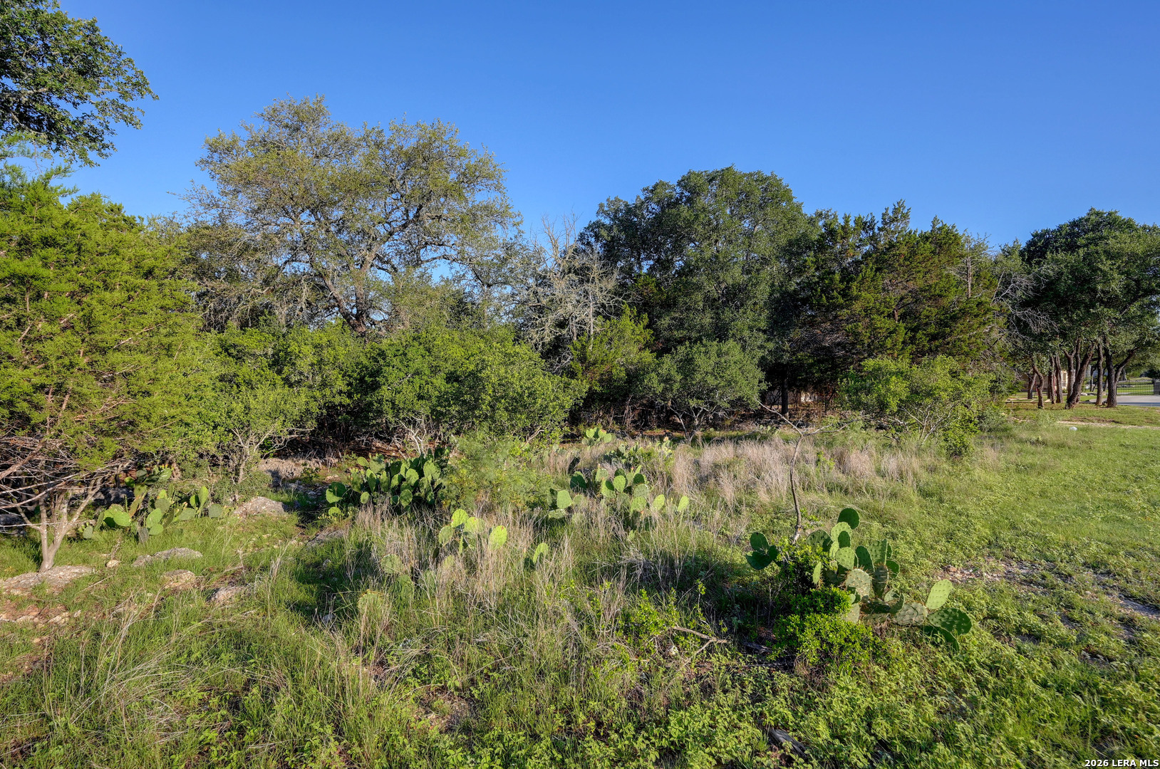 315 Rittimann Road Spring Branch, TX 78070 - Photo 28 of 51