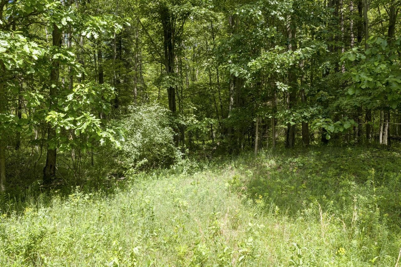 1999 Ryan Road Caro, MI 48723 - Photo 10 of 16 1947139-f7d70e25-0165-46ea-b5dc-0862f46e6461.JPG