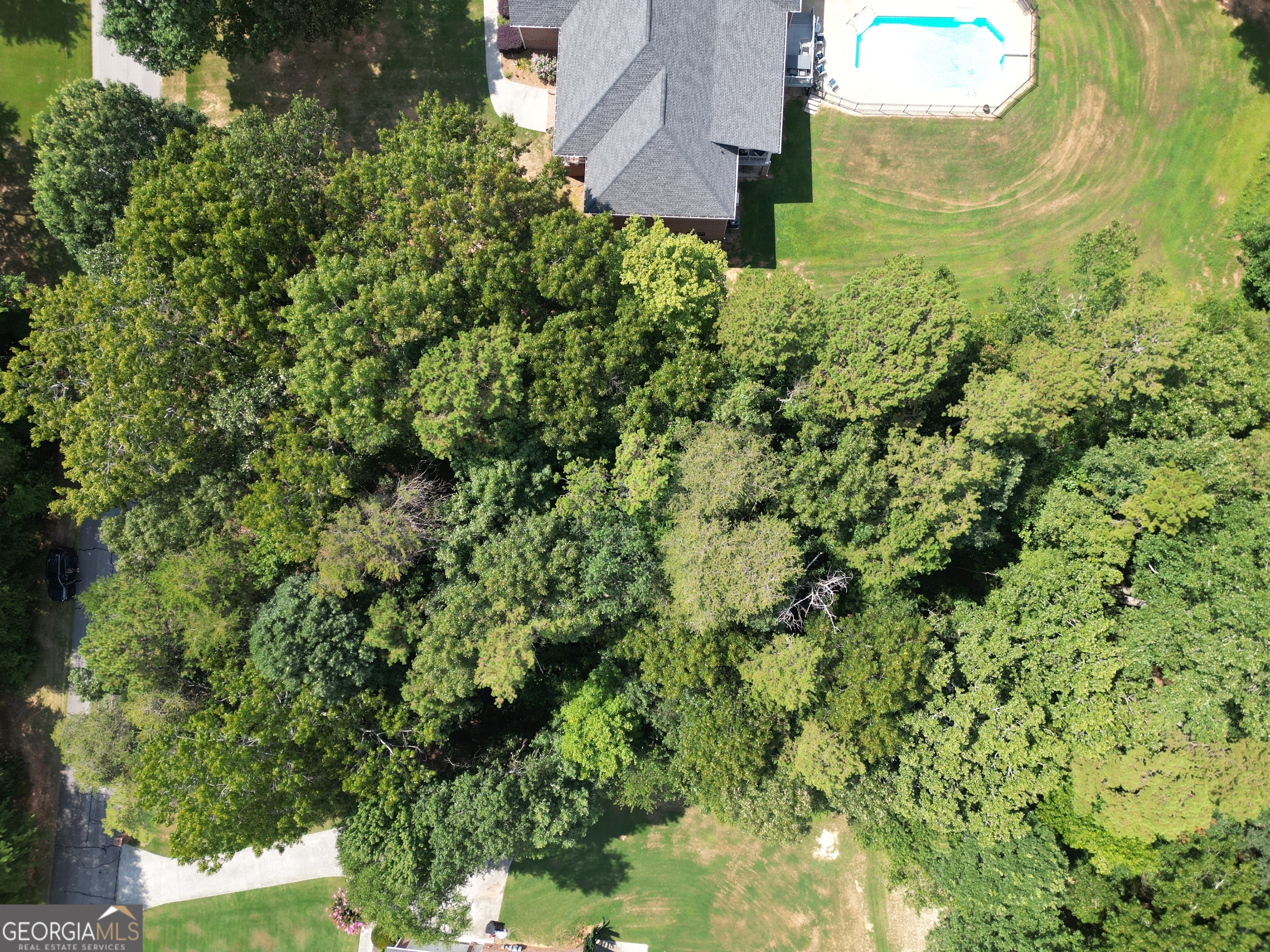 Lot 21 Deer Chase Road Toccoa, GA 30577 - Photo 4 of 7 a view of a garden