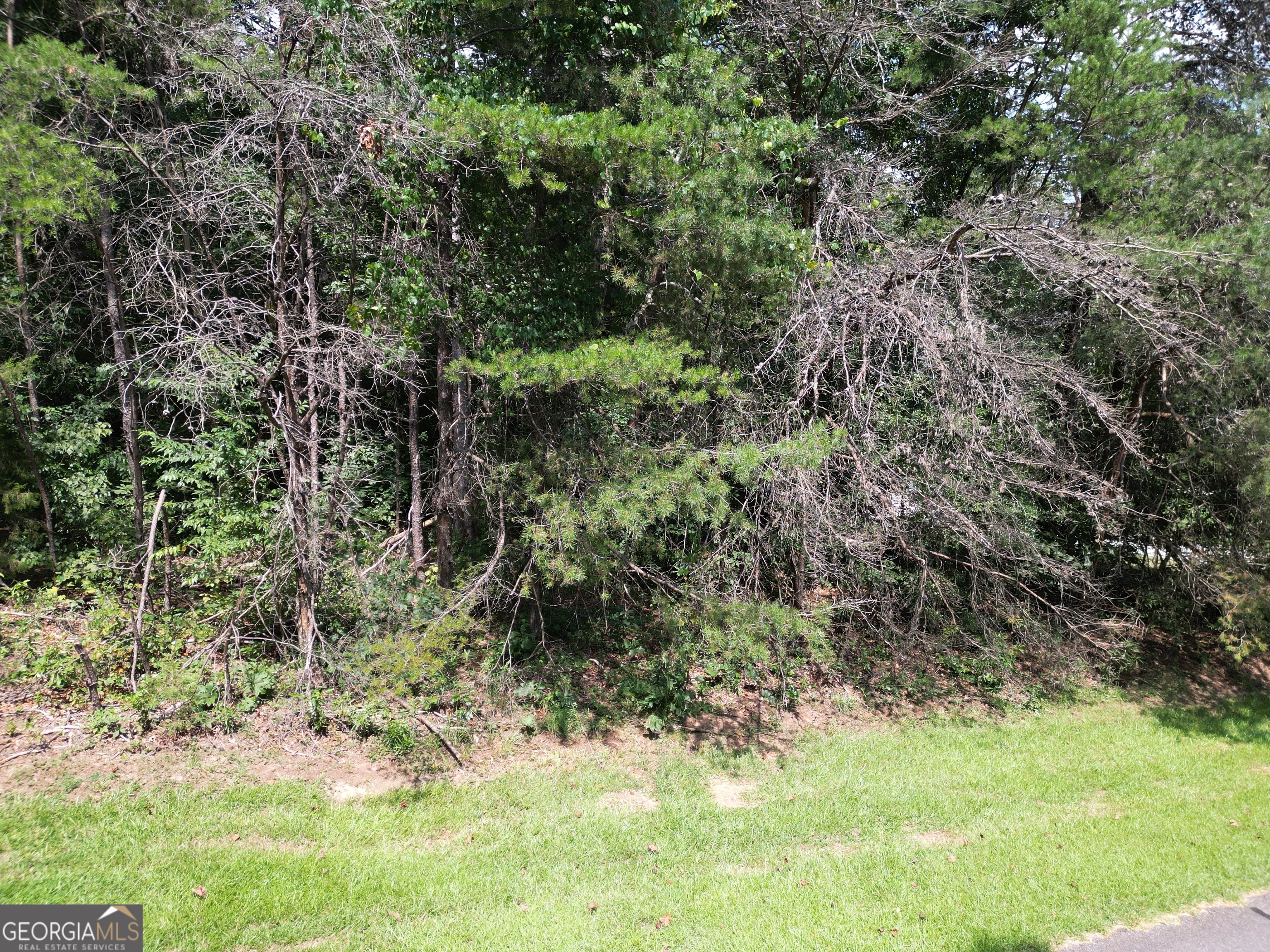 Lot 21 Deer Chase Road Toccoa, GA 30577 - Photo 5 of 7 a view of a yard with a tree