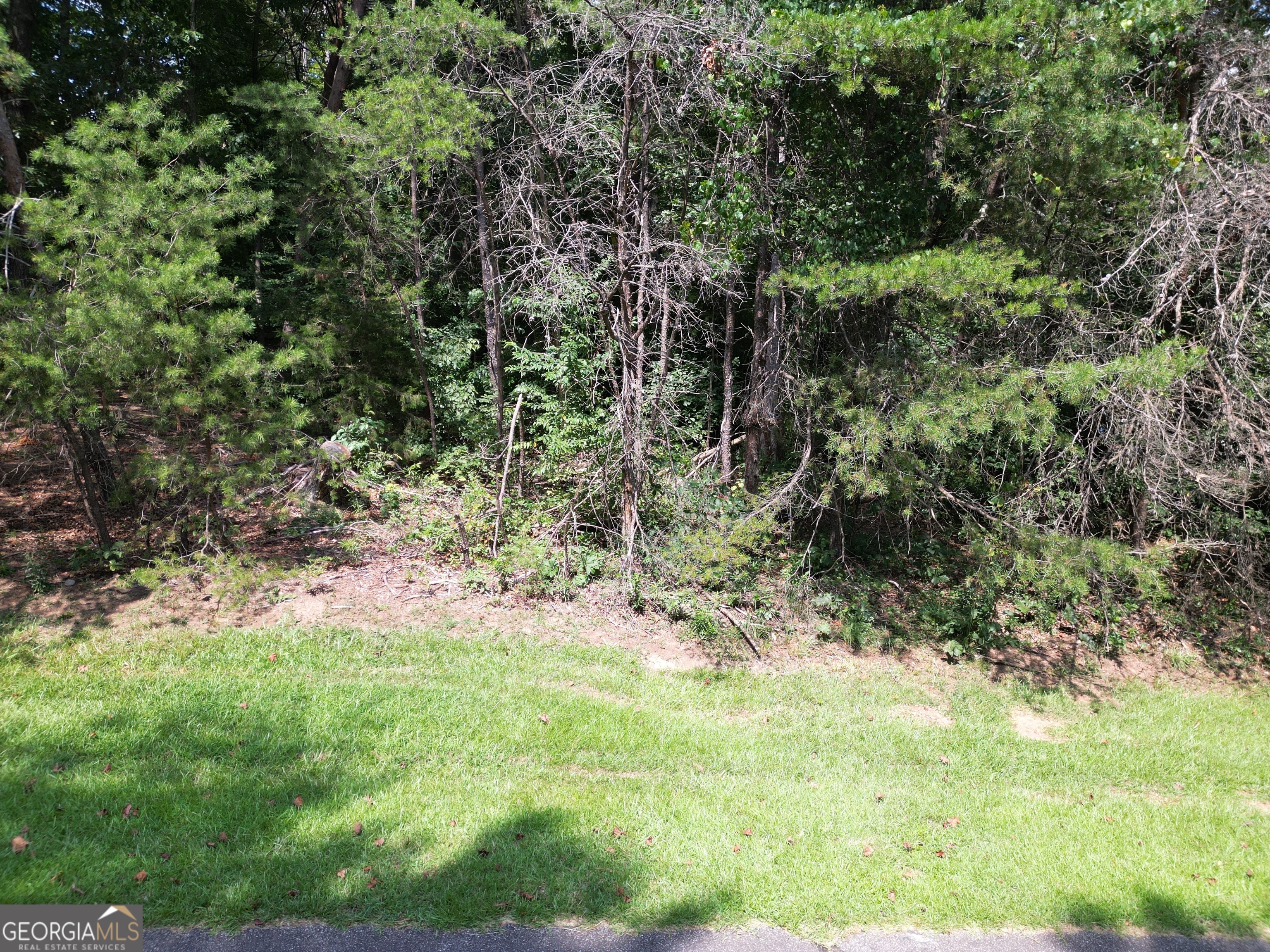 Lot 21 Deer Chase Road Toccoa, GA 30577 - Photo 6 of 7 a view of a yard with plants and large trees